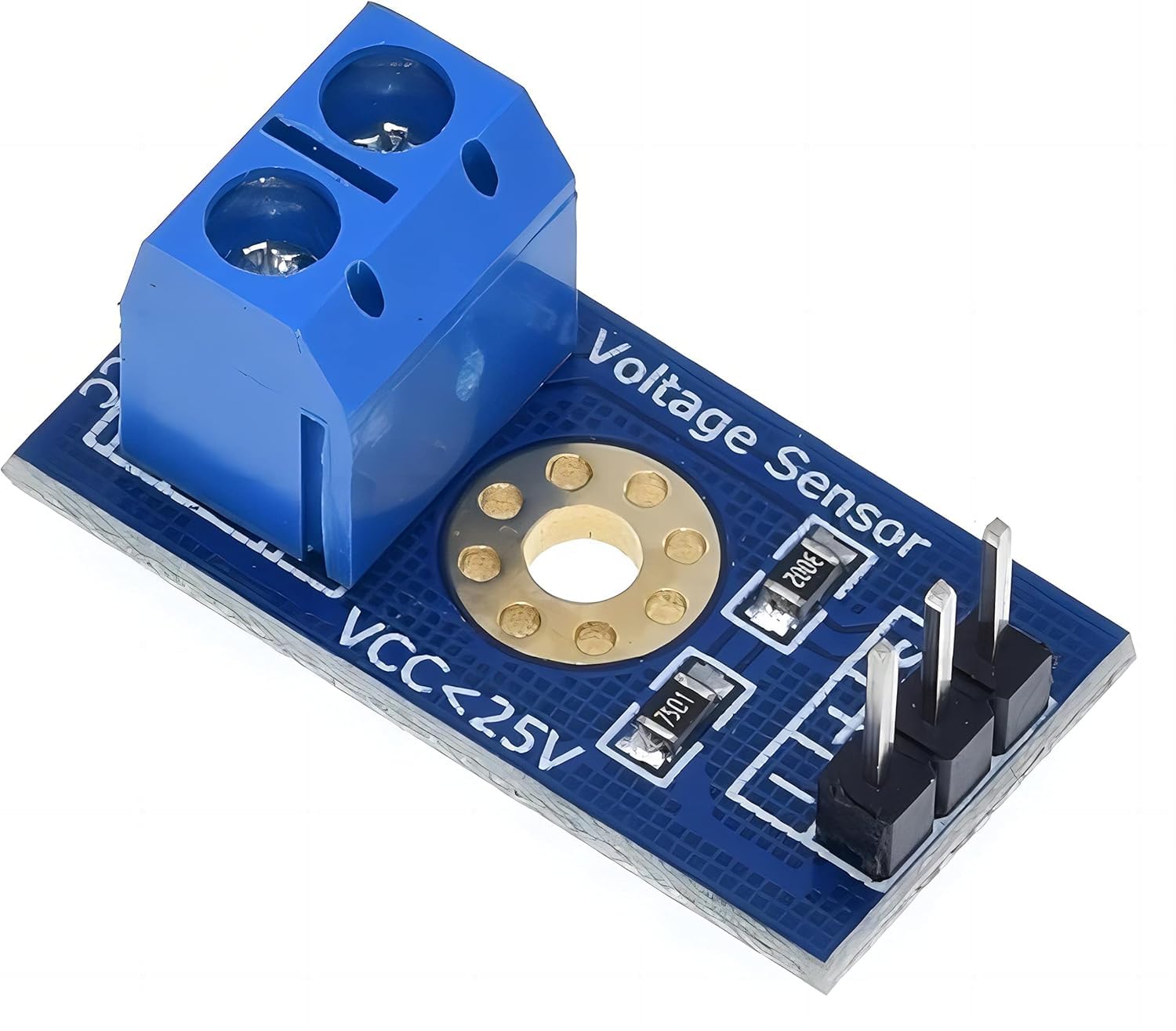 Voltage detection sensor module